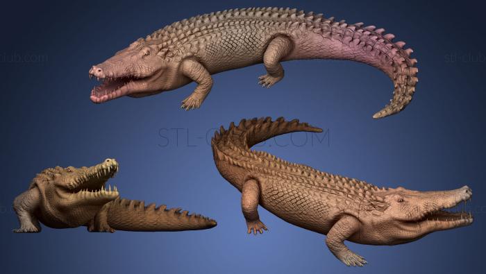 3D мадэль Крокодил (STL)